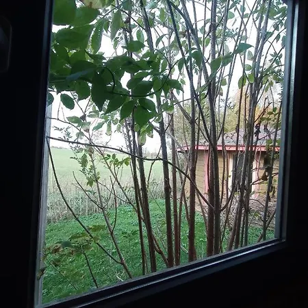 La Cabane Du Pecheur *